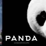 panda condos new toronto yonge dundas edward