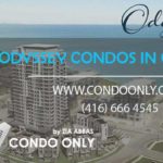 Odyssey CONDOS ZIA ABBAS